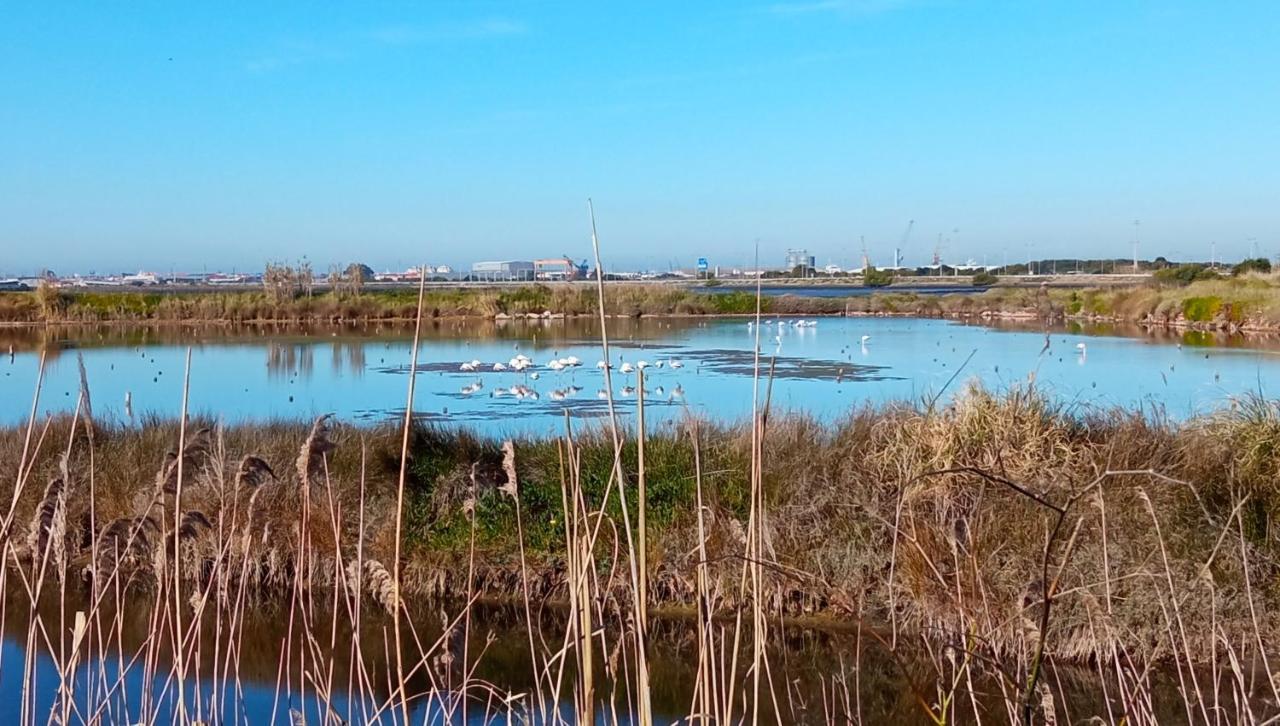 Aveiro, Ria E Fado